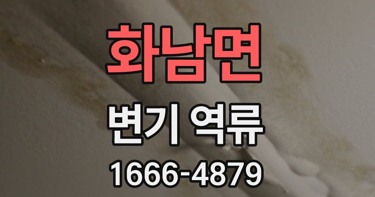 화남면 변기 역류