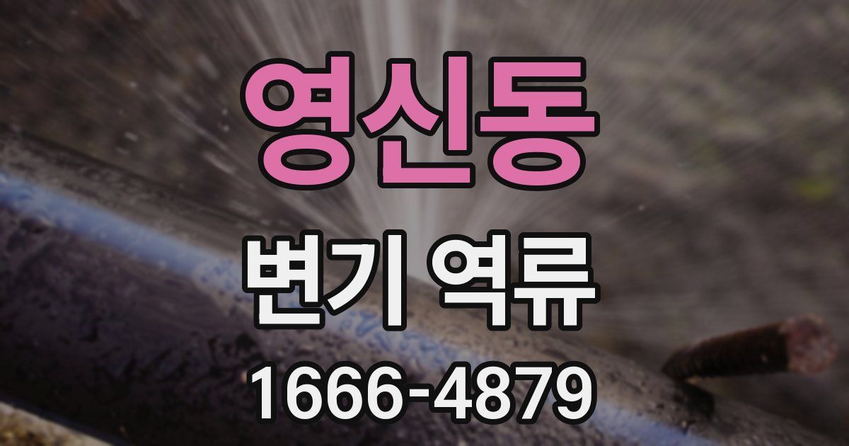 영신동 변기 역류