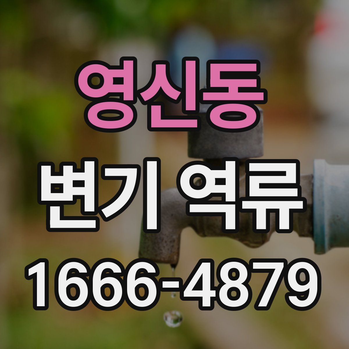 영신동 변기 역류