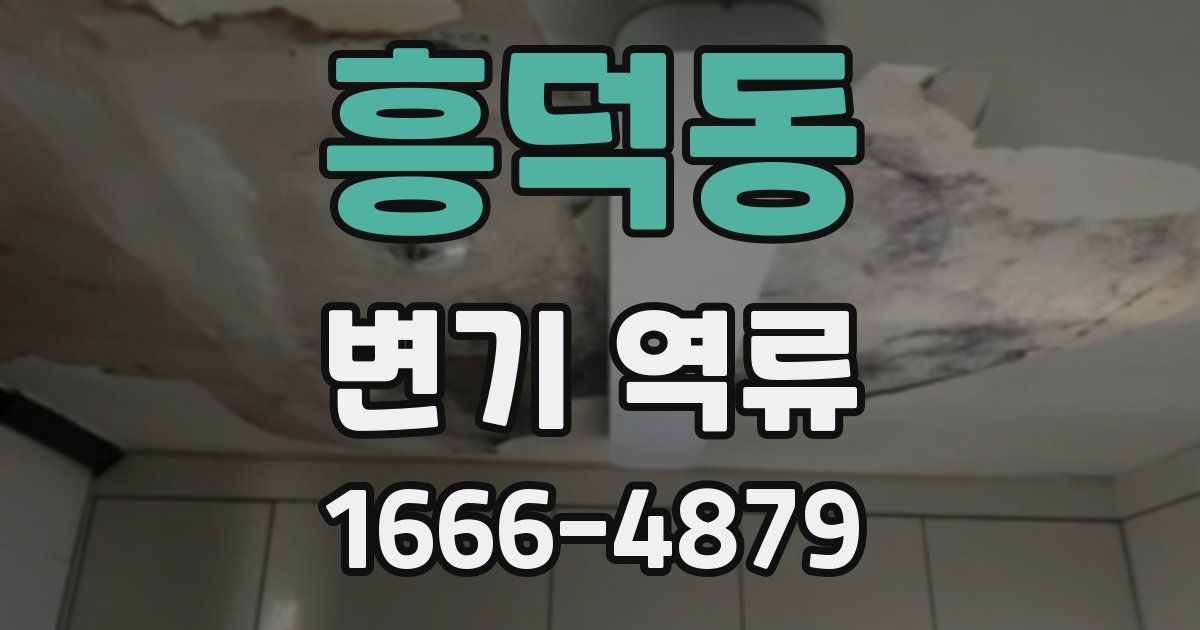 흥덕동 변기 역류