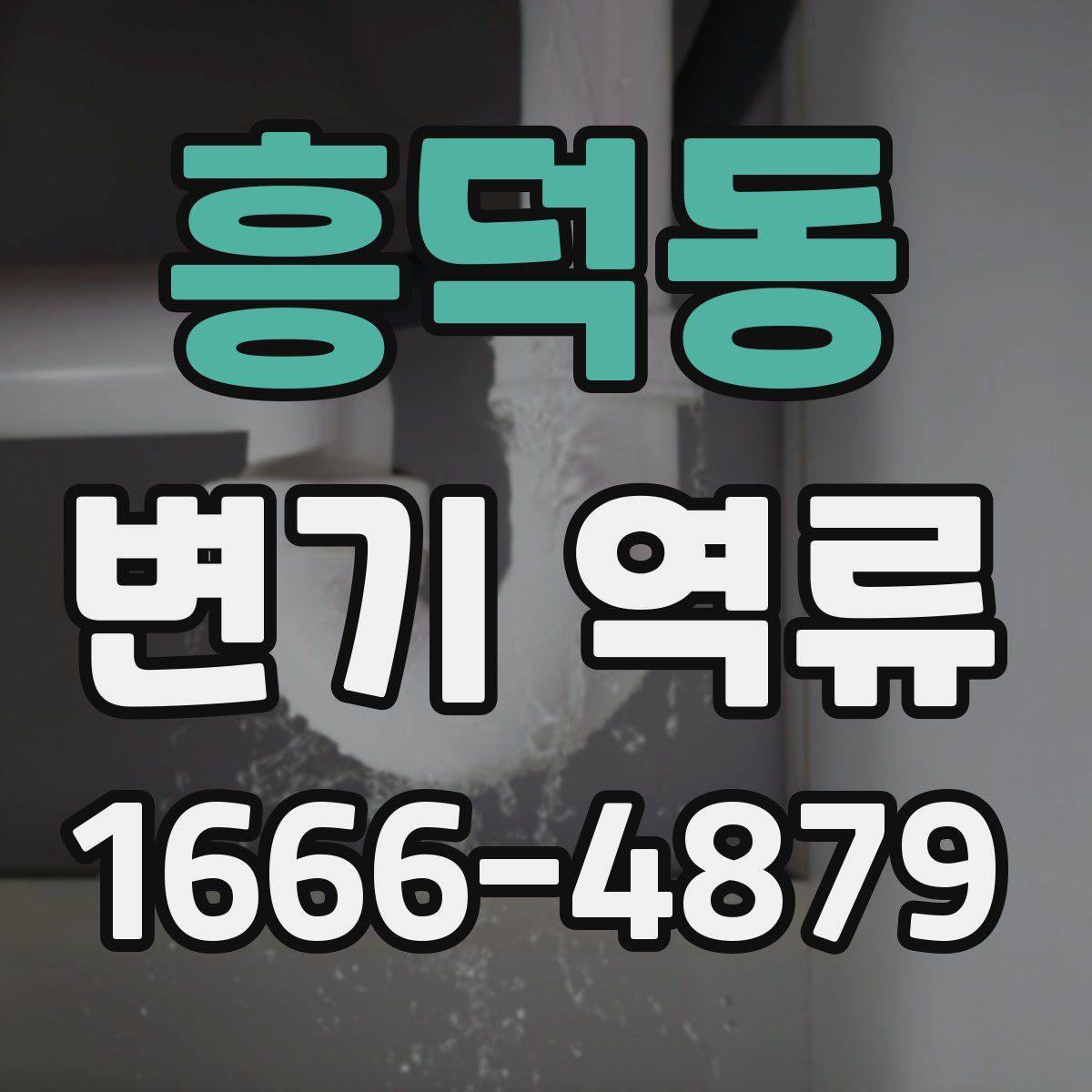 흥덕동 변기 역류