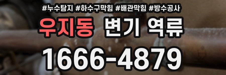 우지동 변기 역류