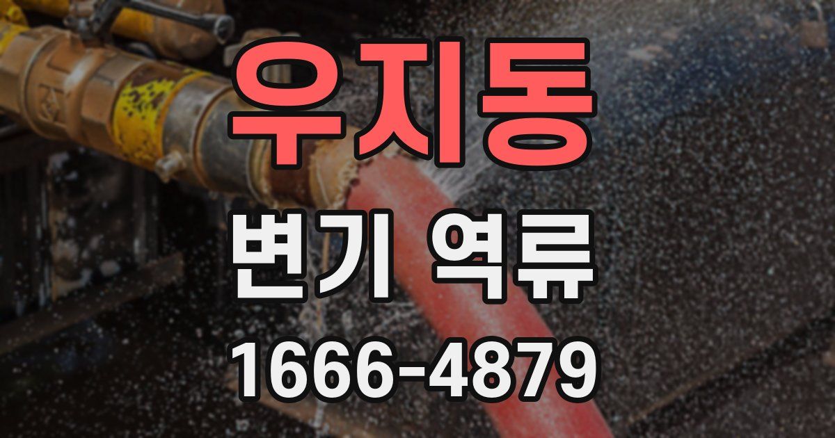 우지동 변기 역류