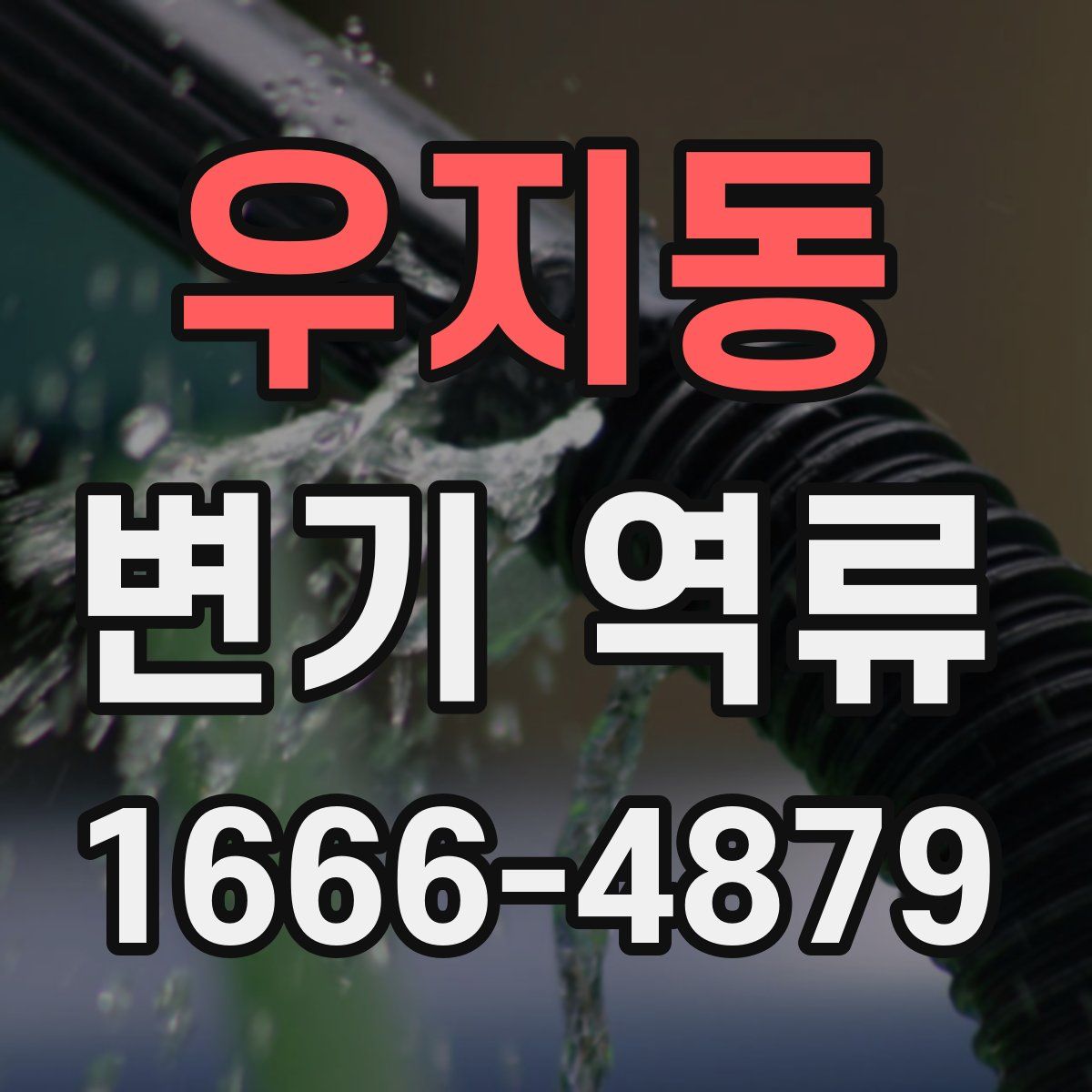 우지동 변기 역류