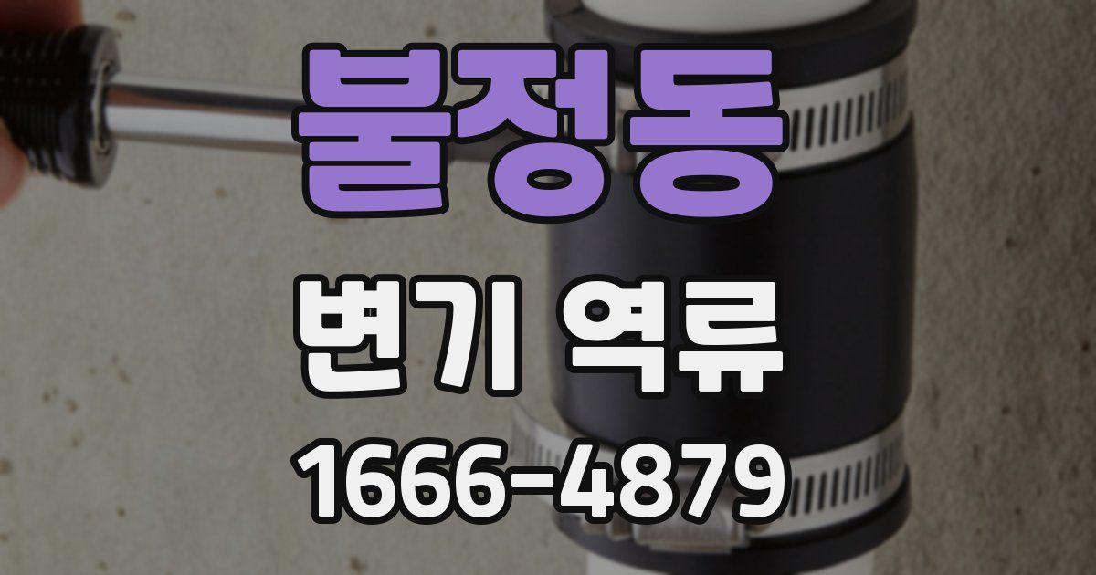 불정동 변기 역류