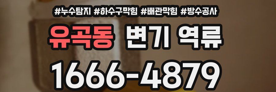 유곡동 변기 역류