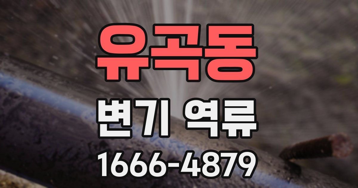 유곡동 변기 역류
