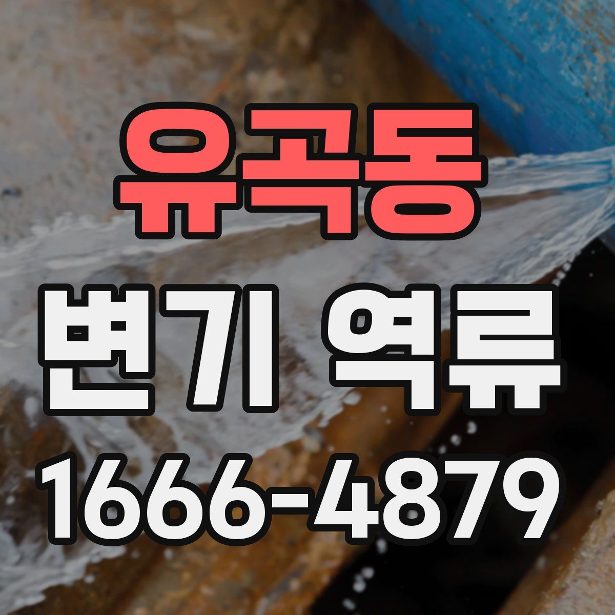 유곡동 변기 역류