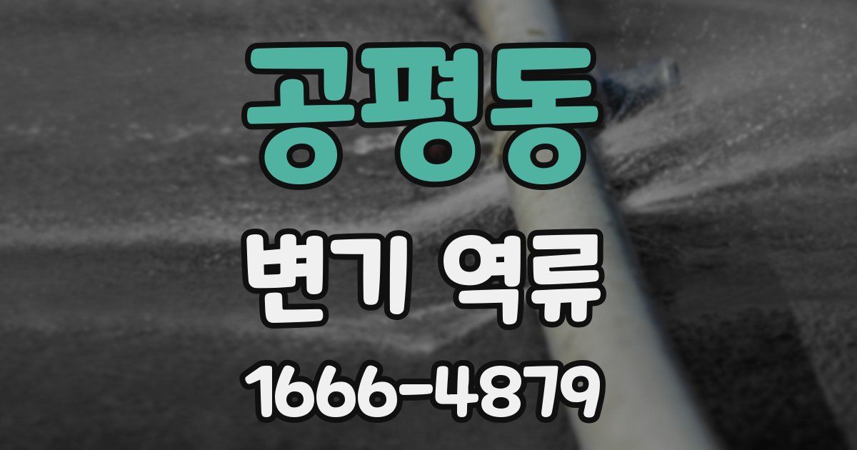 공평동 변기 역류