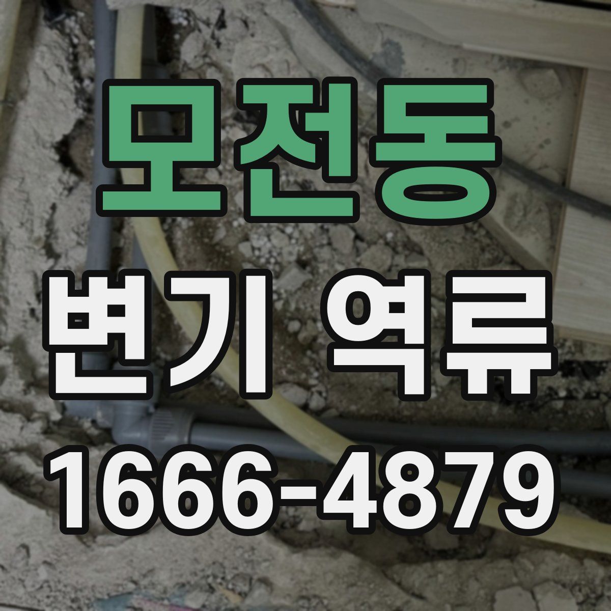모전동 변기 역류