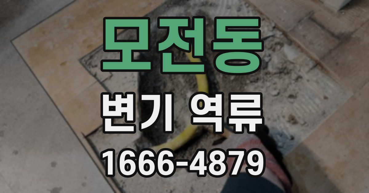 모전동 변기 역류