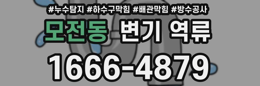 모전동 변기 역류