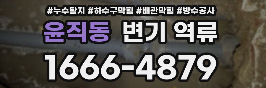 윤직동 변기 역류