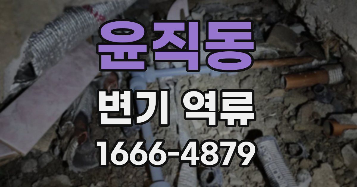 윤직동 변기 역류