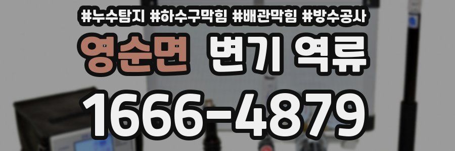 영순면 변기 역류