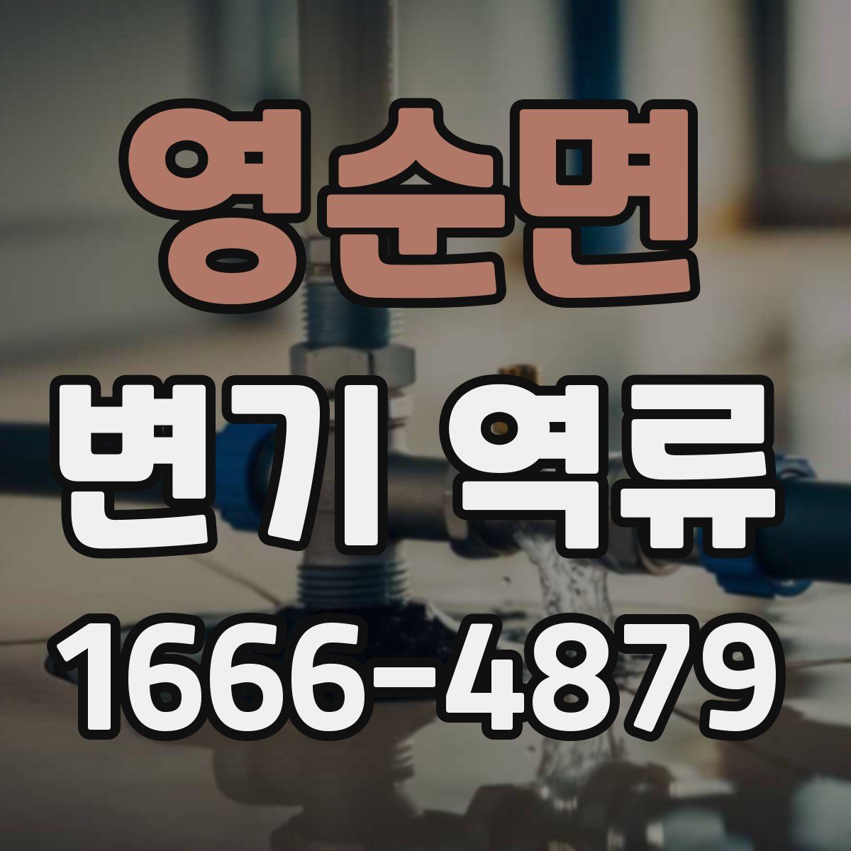 영순면 변기 역류