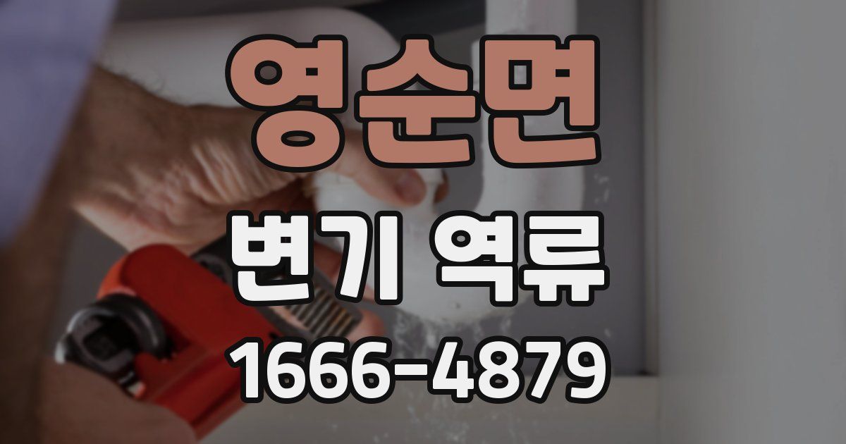영순면 변기 역류