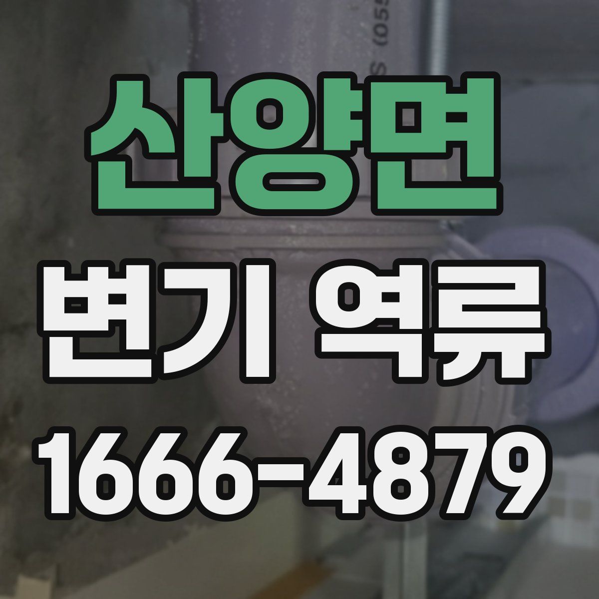 산양면 변기 역류