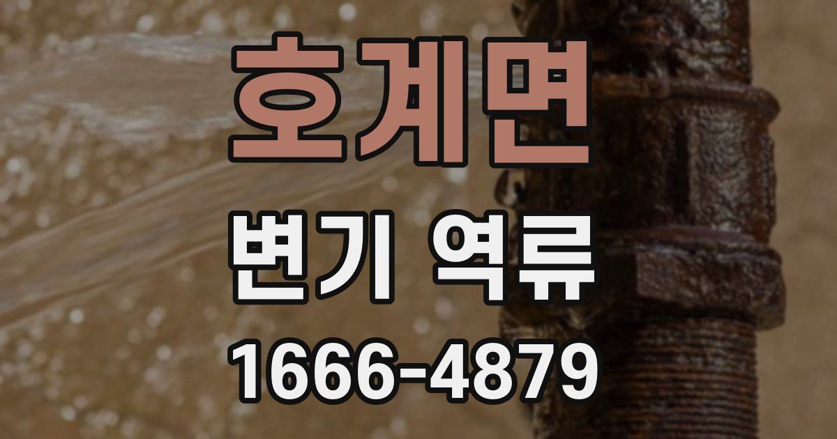 호계면 변기 역류