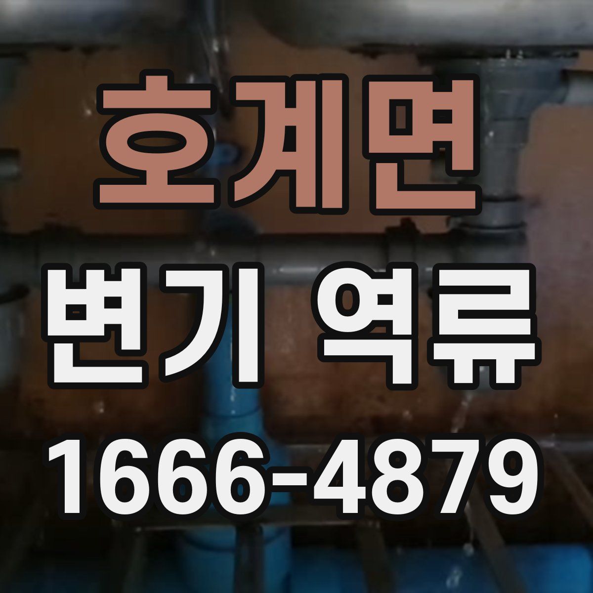 호계면 변기 역류