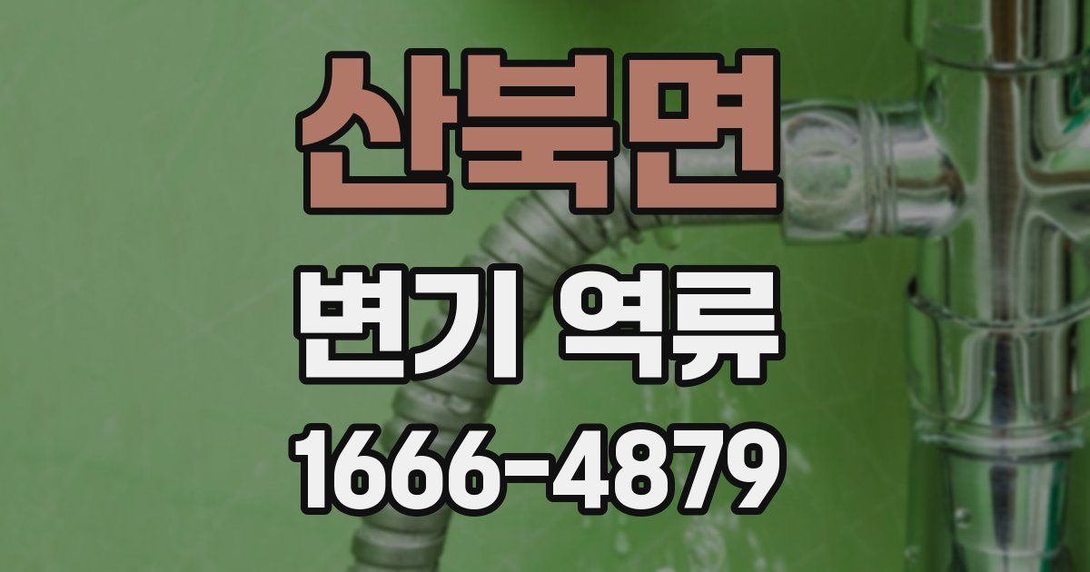 산북면 변기 역류