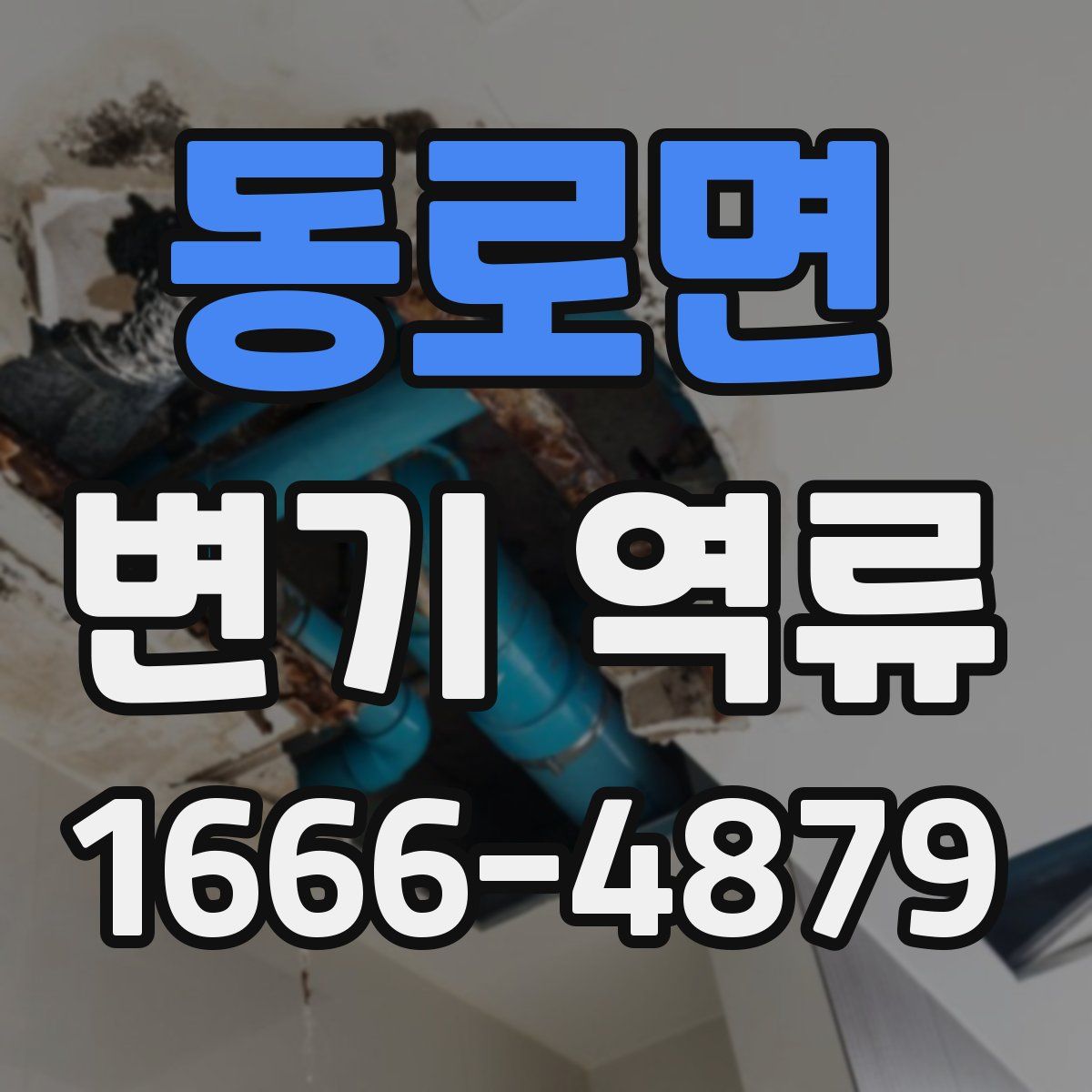 동로면 변기 역류