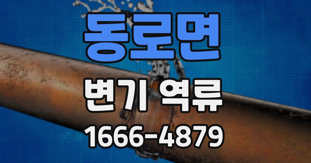 동로면 변기 역류