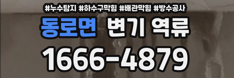 동로면 변기 역류