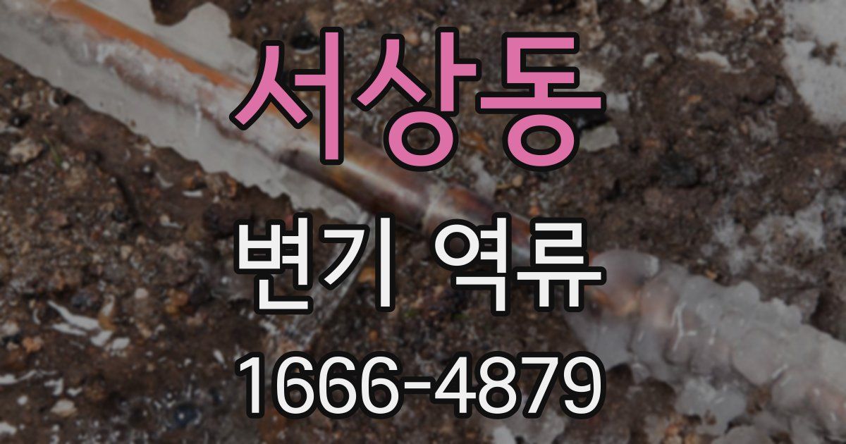 서상동 변기 역류