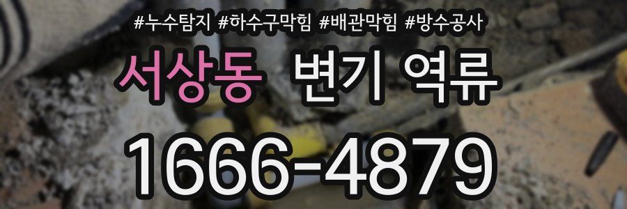 서상동 변기 역류