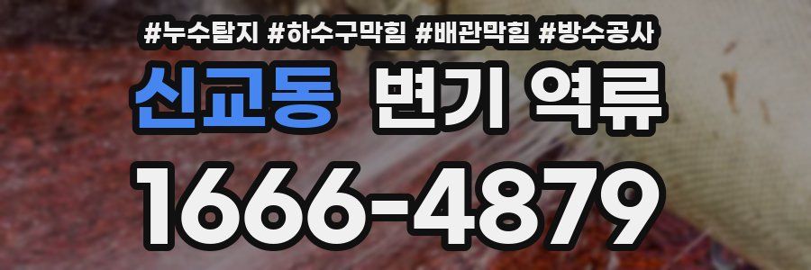 신교동 변기 역류
