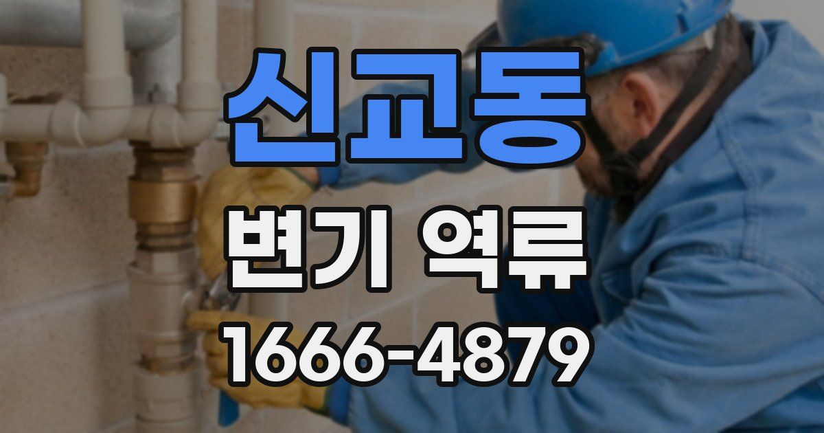 신교동 변기 역류