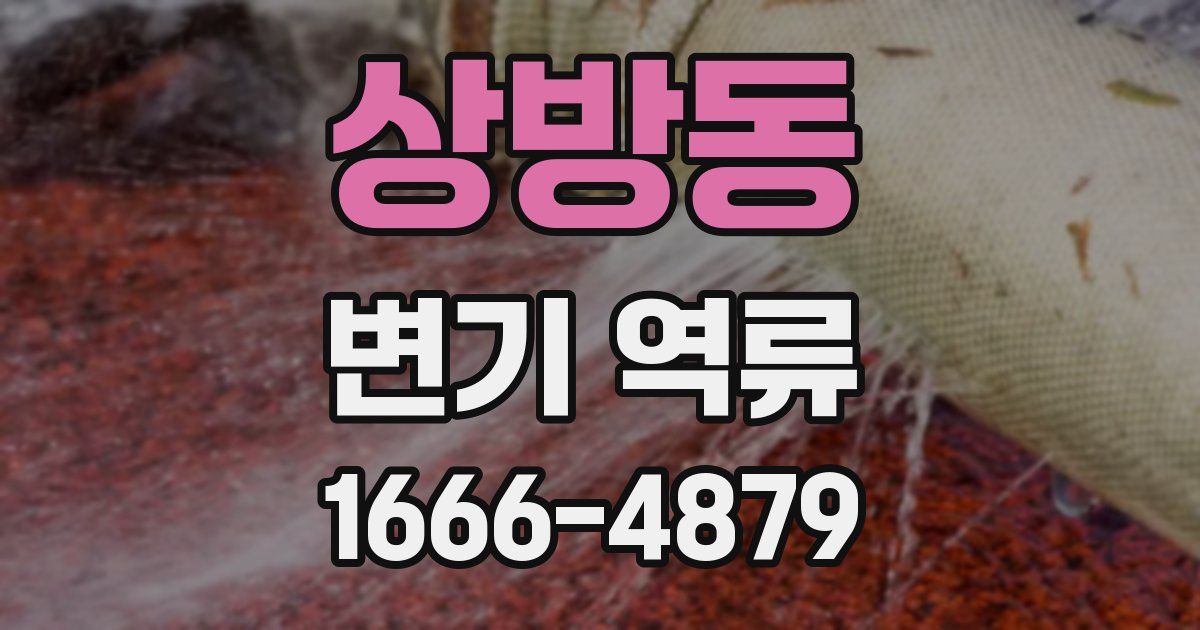 상방동 변기 역류