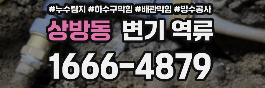 상방동 변기 역류