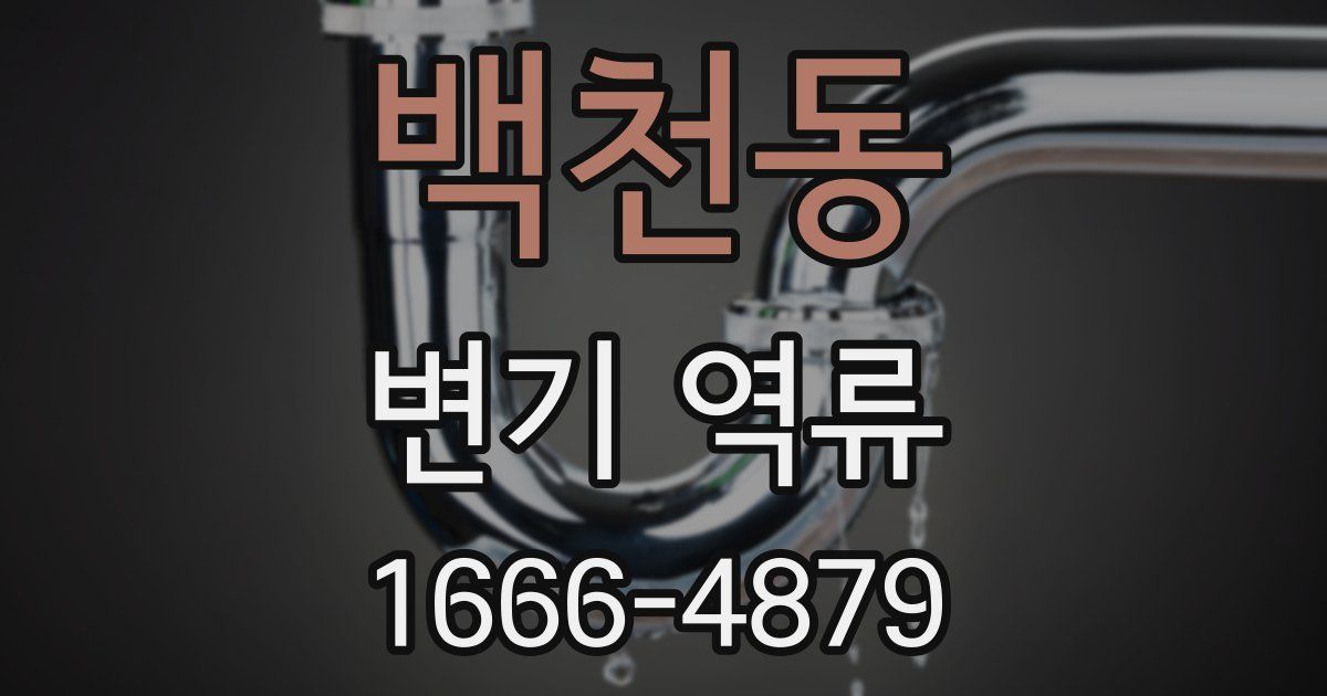 백천동 변기 역류