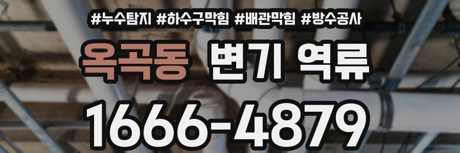 옥곡동 변기 역류