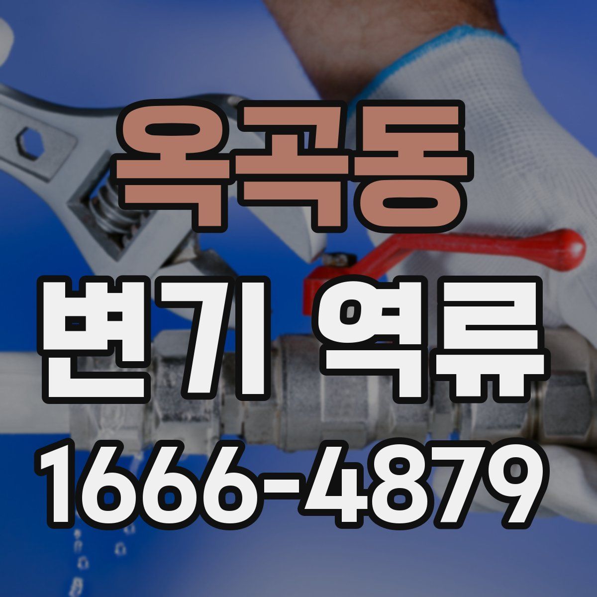 옥곡동 변기 역류