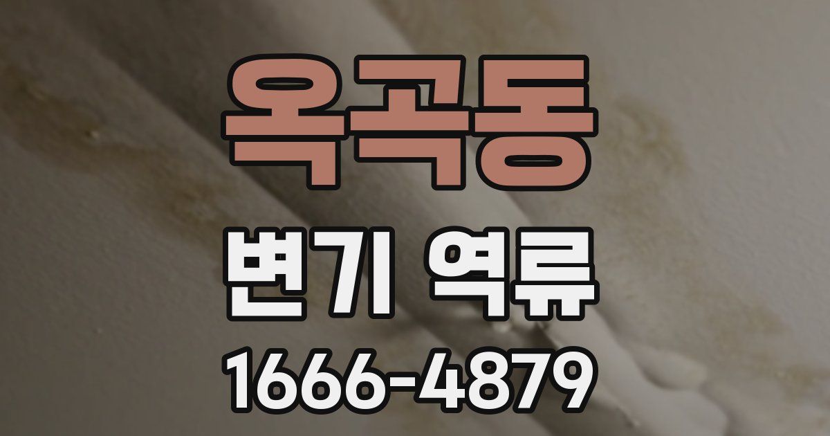 옥곡동 변기 역류