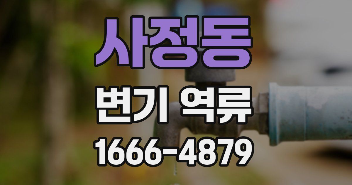 사정동 변기 역류