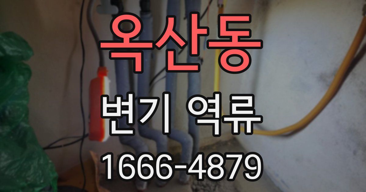 옥산동 변기 역류