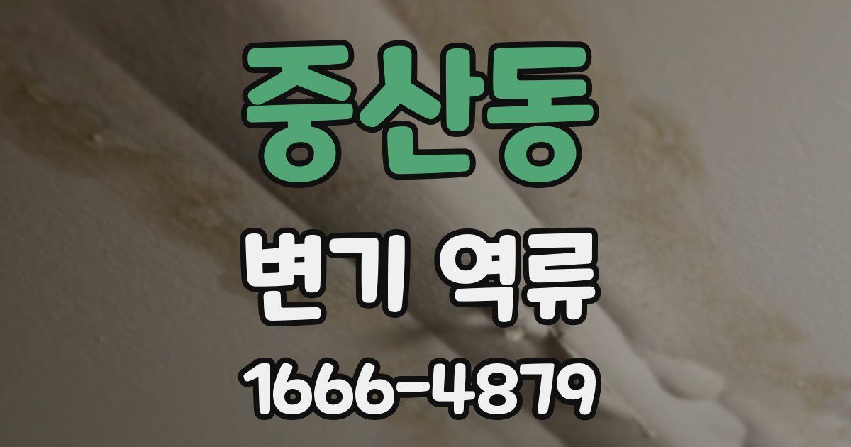중산동 변기 역류