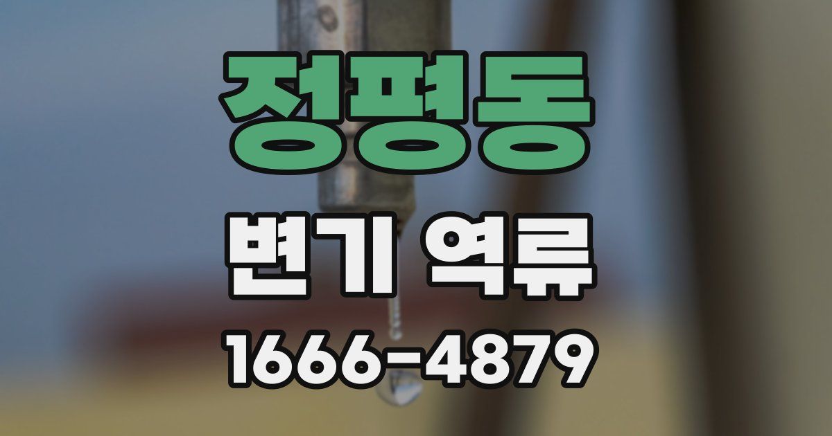 정평동 변기 역류