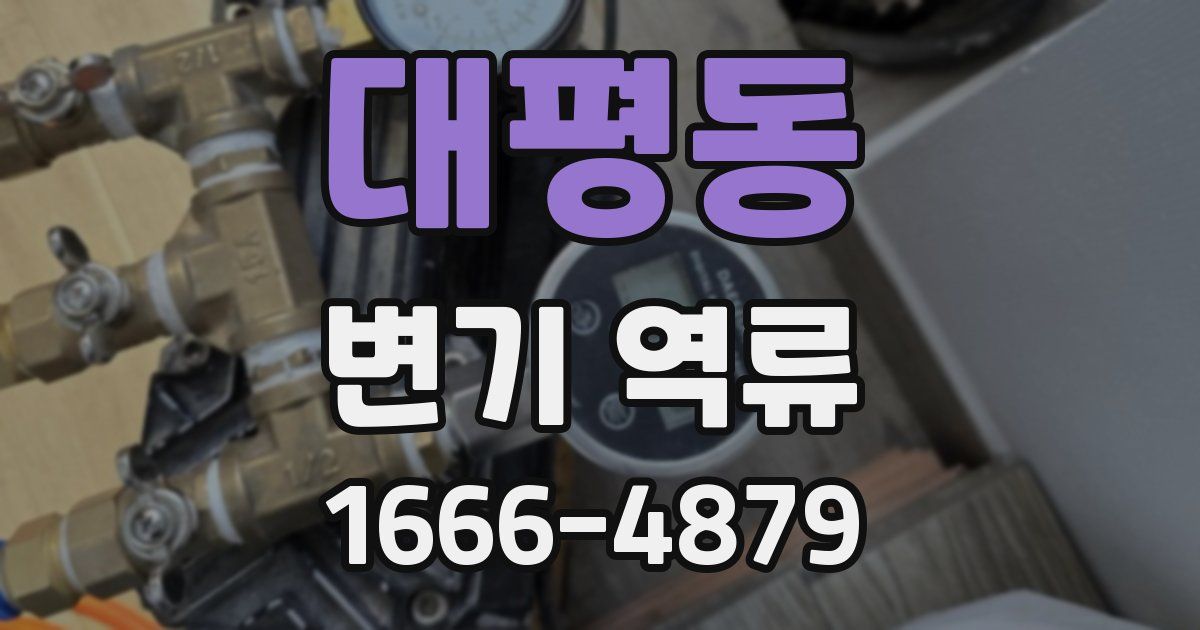 대평동 변기 역류