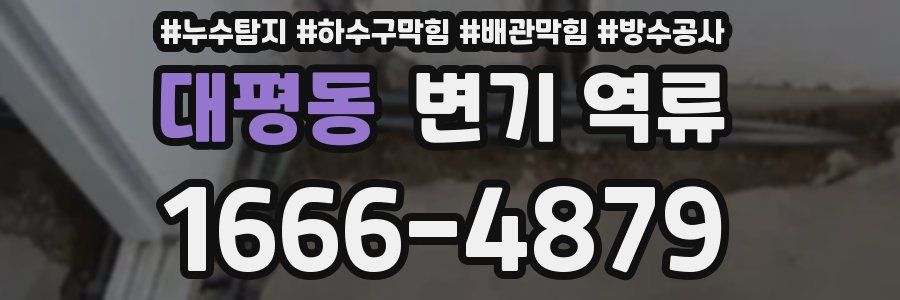 대평동 변기 역류