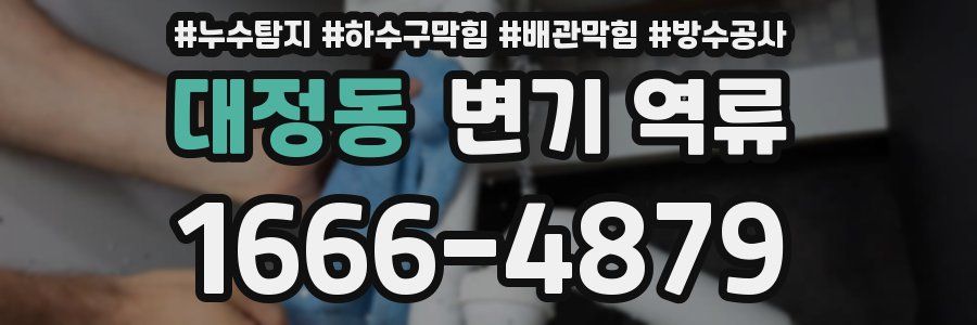대정동 변기 역류
