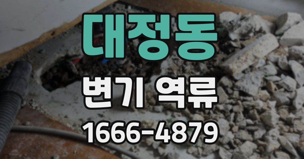 대정동 변기 역류