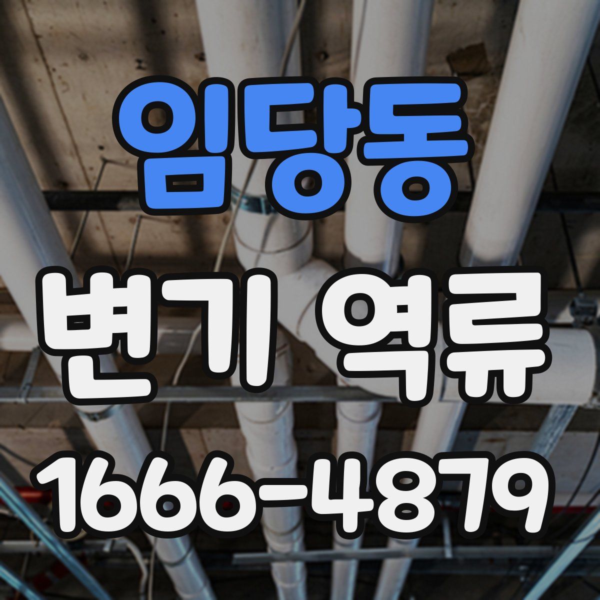 임당동 변기 역류