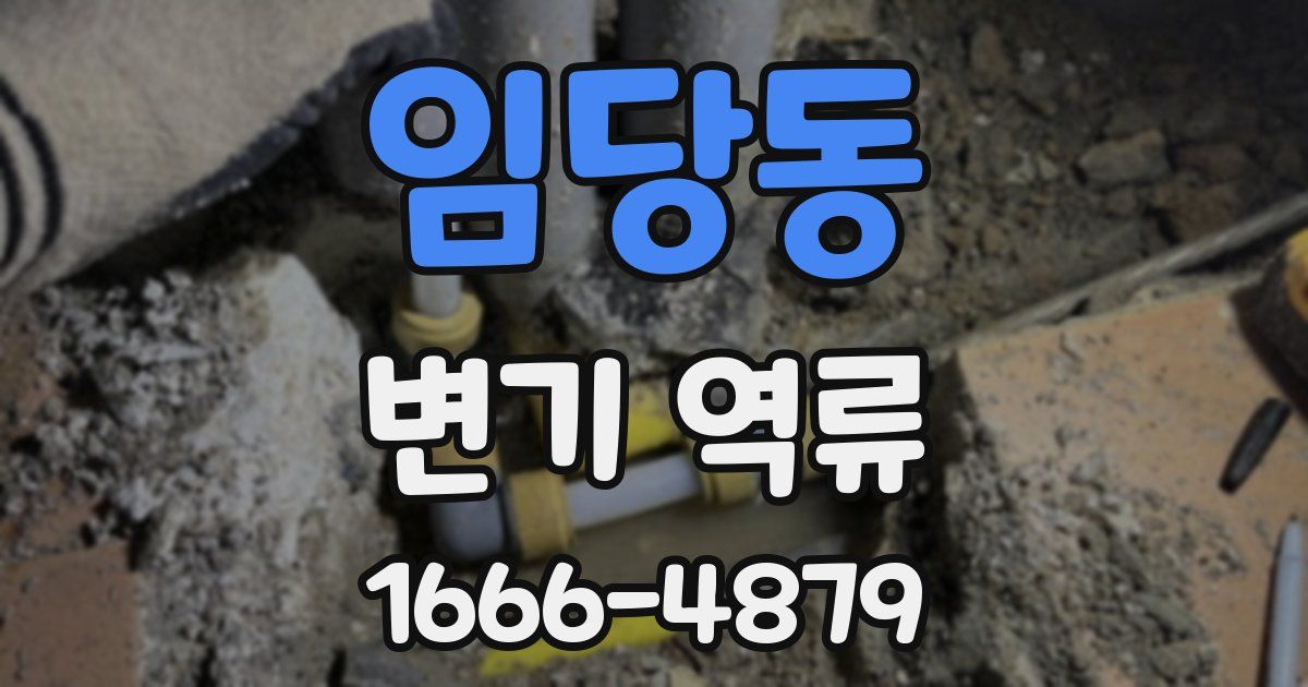 임당동 변기 역류