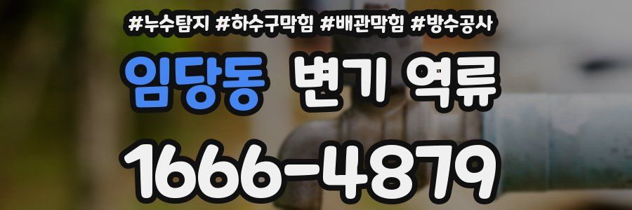 임당동 변기 역류