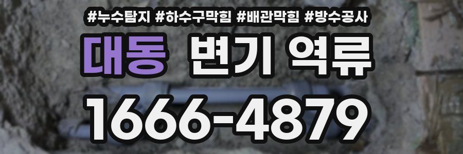 대동 변기 역류